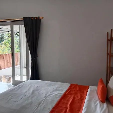 Summer Homestay Bali